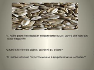 1. Какие растения называют покрытосеменными? За что они получили такое назва