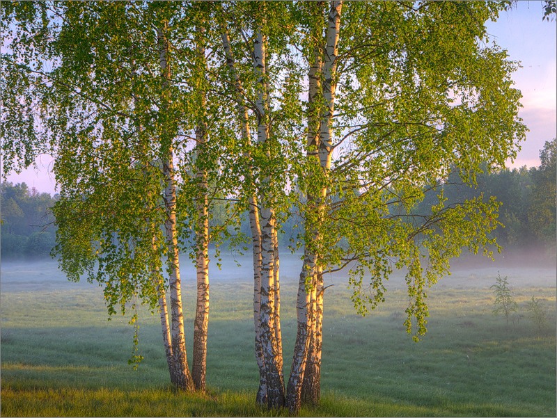 Отзывы на стихи, современная литература