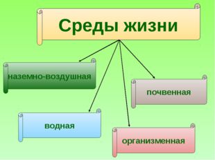 Среды жизни наземно-воздушная почвенная водная организменная 