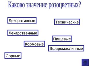 Сорные Декоративные Технические Лекарственные Кормовые Эфиромасличные Пищевые 