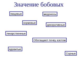 пищевые кормовые медоносы лекарственные декоративные Обогащают почву азотом я