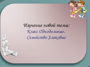 Изучение новой темы: Класс Однодольные. Семейство Злаковые 