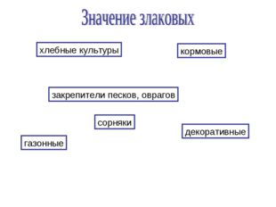 хлебные культуры кормовые газонные закрепители песков, оврагов сорняки декора