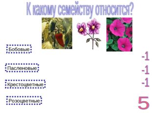 Пасленовые Розоцветные Крестоцветные Бобовые 