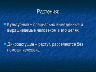 Растения: Культурные – специально выведенные и выращиваемые человеком в его ц