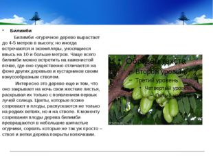 Билимби Билимби -огуречное дерево вырастает до 4-5 метров в высоту, но иногд