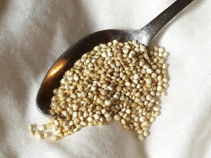 C:\Users\Карина\Pictures\Quinoa.jpg