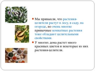 Мы привыкли, что растения-целители растут в лесу, в саду, на огороде, но очен