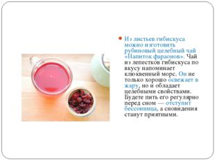 Из листьев гибискуса можно изготовить рубиновый целебный чай «Напиток фараоно