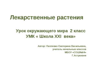 Лекарственные растения Урок окружающего мира 2 класс УМК « Школа ХХI века» Ав