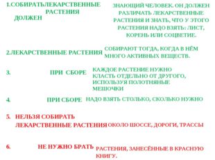 1.СОБИРАТЬЛЕКАРСТВЕННЫЕ РАСТЕНИЯ ДОЛЖЕН 2.ЛЕКАРСТВЕННЫЕ РАСТЕНИЯ 3. ПРИ СБОРЕ