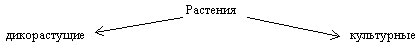 http://festival.1september.ru/articles/616681/img3.jpg