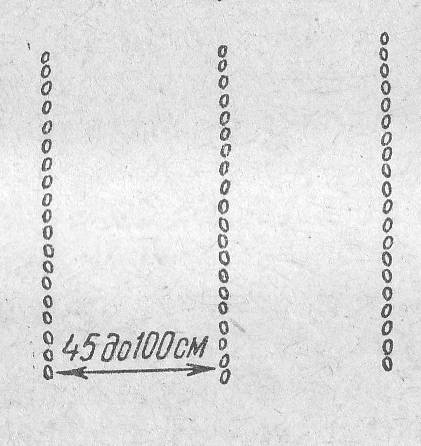 C:\Documents and Settings\Анна Тимарина\Мои документы\Мои рисунки\Untitled-Scanned-09.jpg