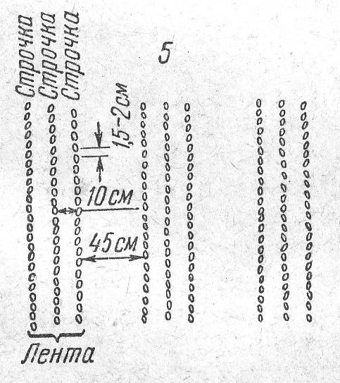 C:\Documents and Settings\Анна Тимарина\Мои документы\Мои рисунки\Untitled-Scanned-08.jpg