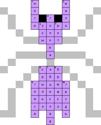 Кроссворд «Строение насекомого»