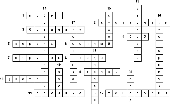 Кроссворд «Общее знакомство с растениями»