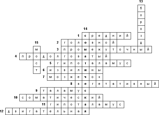 Кроссворд «Строение головного мозга»