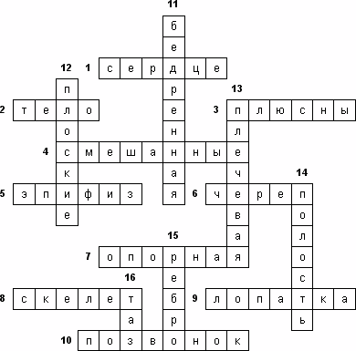 Кроссворд «Кости скелета»