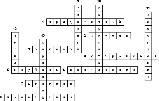Кроссворд «Вегетативные органы. Корень»