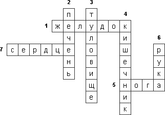 Кроссворд «Строение тела человека»