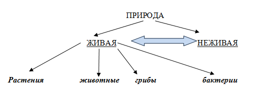 http://www.informio.ru/images/shema1.png