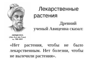 Лекарственные растения Древний ученый Авиценна сказал: «Нет растения, чтобы