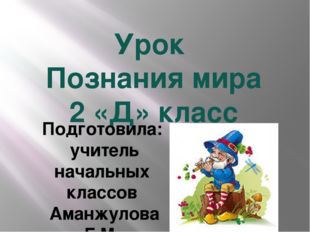 Урок Познания мира 2 «Д» класс Подготовила: учитель начальных классов Аманжул