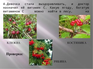 4.Девочка стала выздоравливать, и доктор назначил ей витамин С. Какую ягоду,