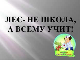 ЛЕС- НЕ ШКОЛА, А ВСЕМУ УЧИТ! 