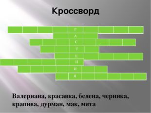 Кроссворд Валериана, красавка, белена, черника, крапива, дурман, мак, мята Р