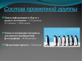 Состав проектной группы Поиск информации и сбор ее с разных источников – Р.Ку