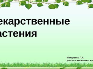  Лекарственные растения Макаренко Л.А. учитель начальных классов 