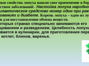 Лечебные свойства лопуха нашли свое применение в борьбе со множеством заболев