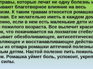 Есть травы, которые лечат не одну болезнь и оказывают благотворное влияние на