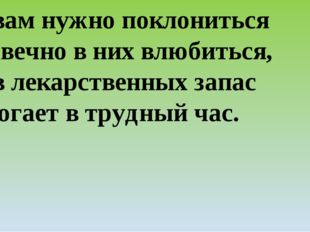 Травам нужно поклониться И навечно в них влюбиться, Трав лекарственных запас