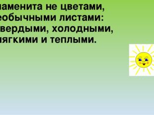 Я знаменита не цветами, А необычными листами: То твердыми, холодными, То мягк