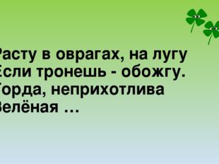 Расту в оврагах, на лугу Если тронешь - обожгу. Горда, неприхотлива Зелёная …  