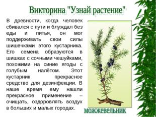 В древности, когда человек сбивался с пути и блуждал без еды и питья, он мог