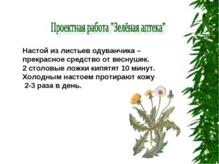 Настой из листьев одуванчика – прекрасное средство от веснушек. 2 столовые ло