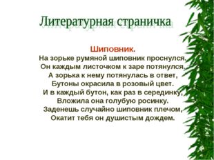 Шиповник. На зорьке румяной шиповник проснулся. Он каждым листочком к заре по