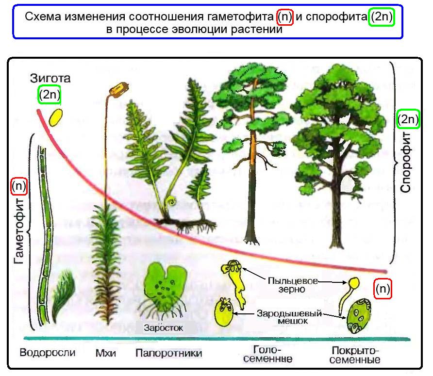 hello_html_10abeac.jpg