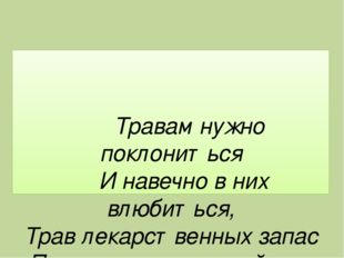 Травам нужно поклониться И навечно в них влюбиться, Трав лекарственных запас