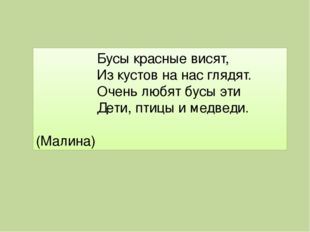 Бусы красные висят, Из кустов на нас глядят. Очень любят бусы эти Дети, птиц