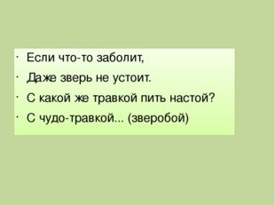 Если что-то заболит, Даже зверь не устоит. С какой же травкой пить настой? С