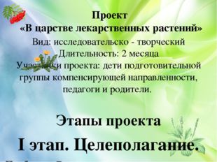 Проект «В царстве лекарственных растений» Вид: исследовательско - творческий