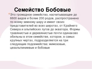 Многолетние травы, редко кустарники или небольшие деревья. Свыше 3000 видов (