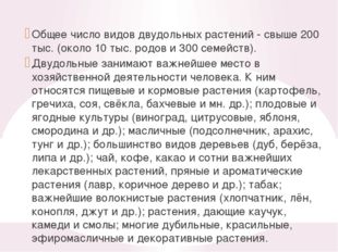 Это одно из крупных семейств цветковых растений, включающее около 100 родов и