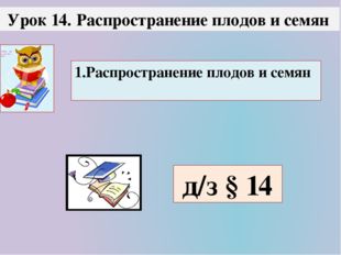 Урок 14. Распространение плодов и семян 1.Распространение плодов и семян д/з