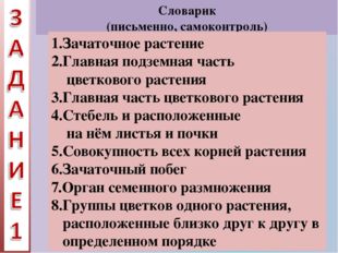 Словарик (письменно, самоконтроль) 1.Зачаточное растение 2.Главная подземная