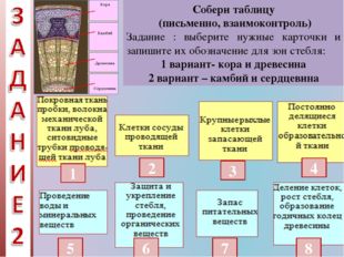 Собери таблицу (письменно, взаимоконтроль) Задание : выберите нужные карточки